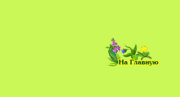 Главная