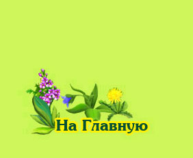 Главная