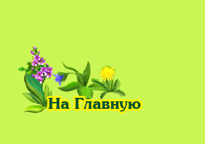 Главная
