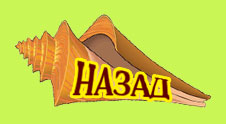 Главная